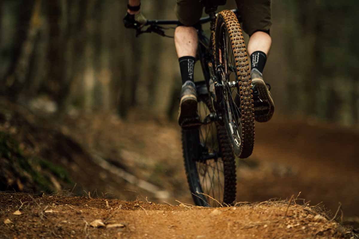 One Mile Creek Track